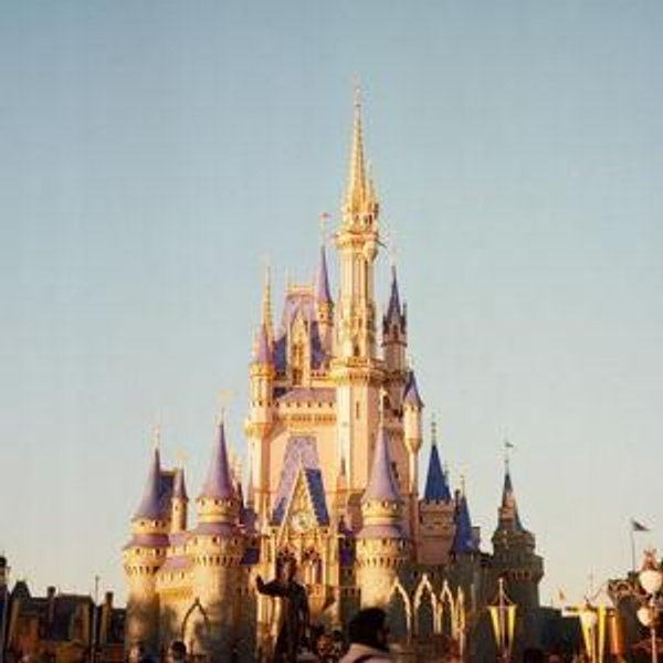 Annual Theme Park Passes