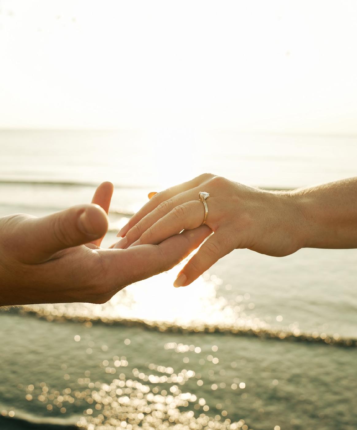 The Wedding Website of Kristin Brown and Alec Toth