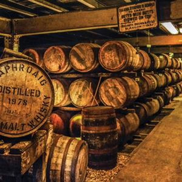 Gin and Whiskey Tasting in Scotland