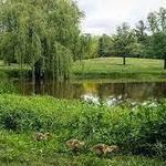Dyck Arboretum of the Plains