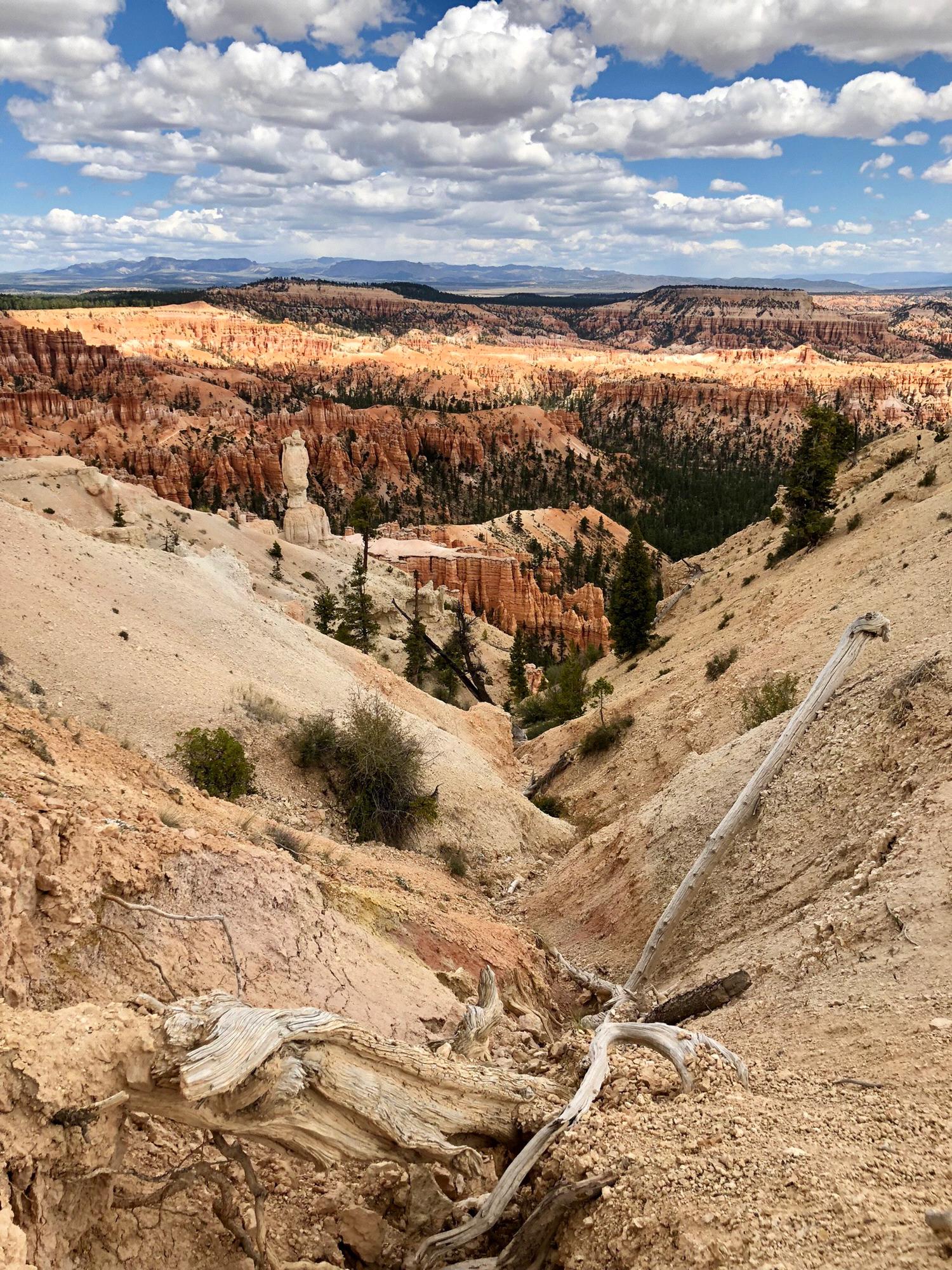 Bryce Canyon, UT
