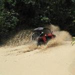 Jungle Buggy Tour