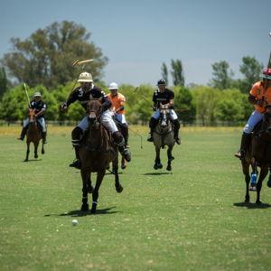 Polo match in Buenos Aires