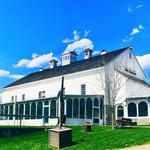 SpringGate Vineyard