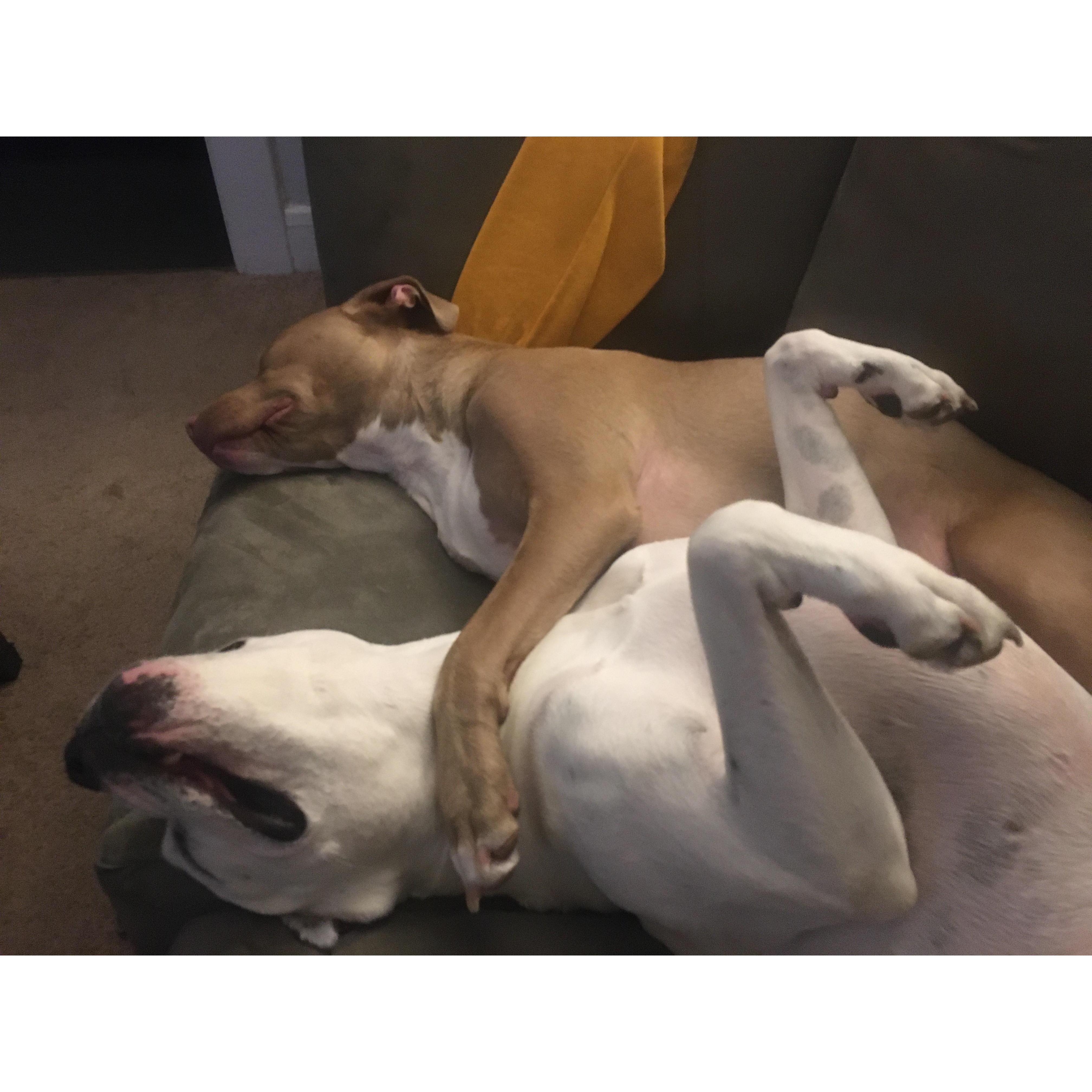 Ellie and Stro loving each other.