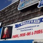 The Whale's Rib