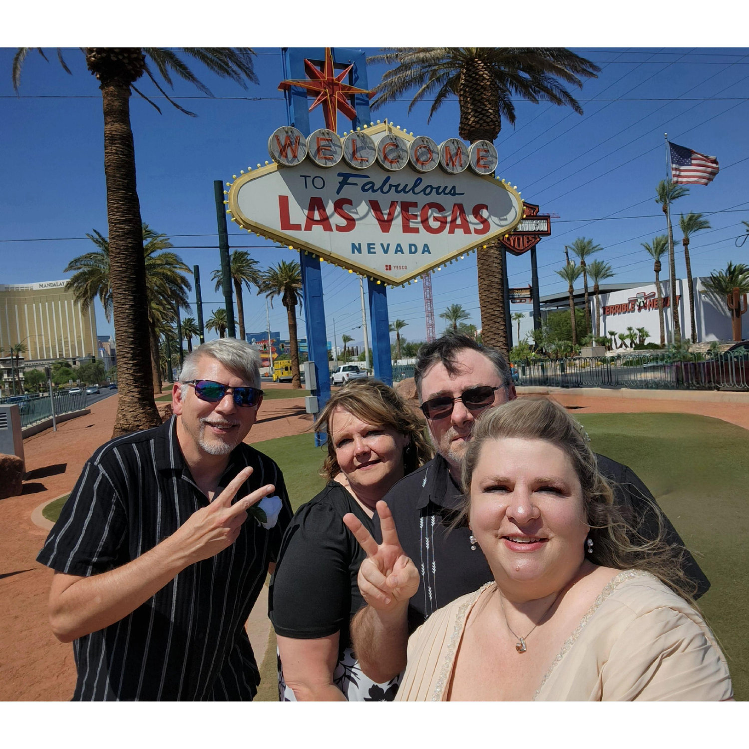 Las Vegas sign!