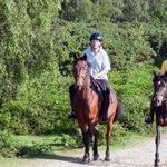 North Georgia Equestrian Tours at Cohutta Stables