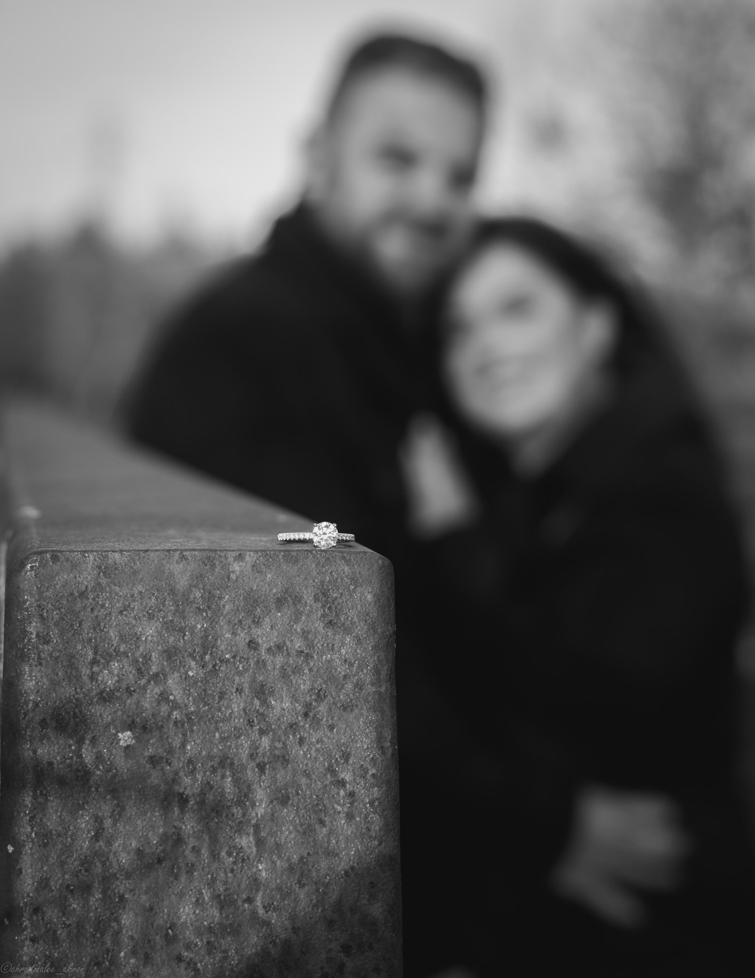 The Wedding Website of Sam Brenn and Elayna Saad
