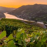 Douro Valley