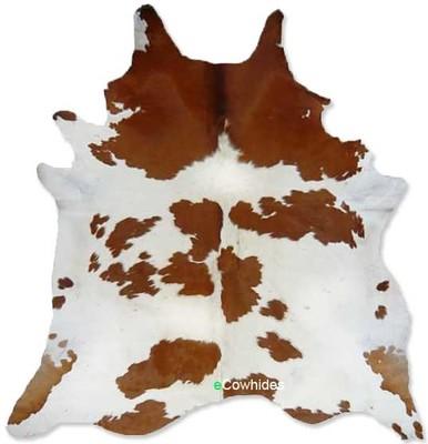 Brown and White Cowhide Rug