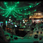 Green Parrot Bar