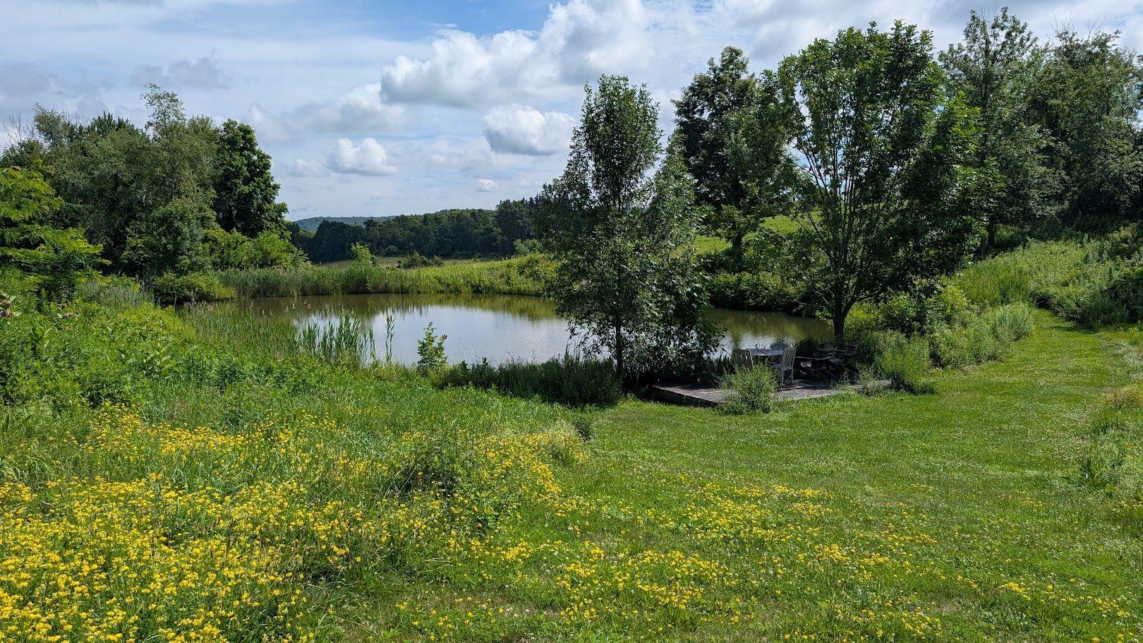 The Wedding Website of MacKenzie Burton and Colton Cook