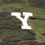 The Y