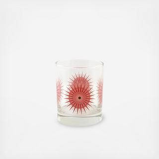 Oldham & Harper Sea Urchin Glass