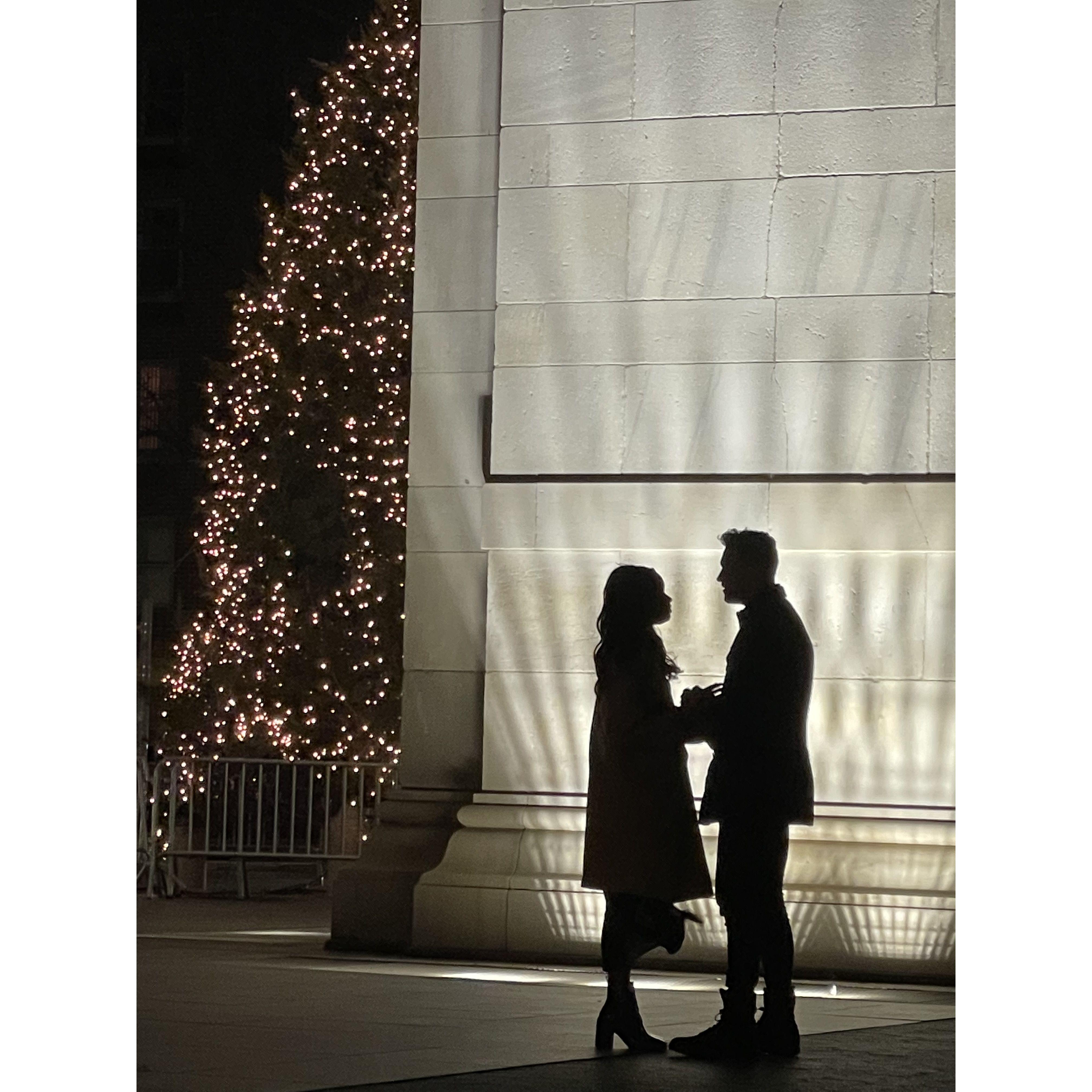 Dylan proposing in Washington Square Park