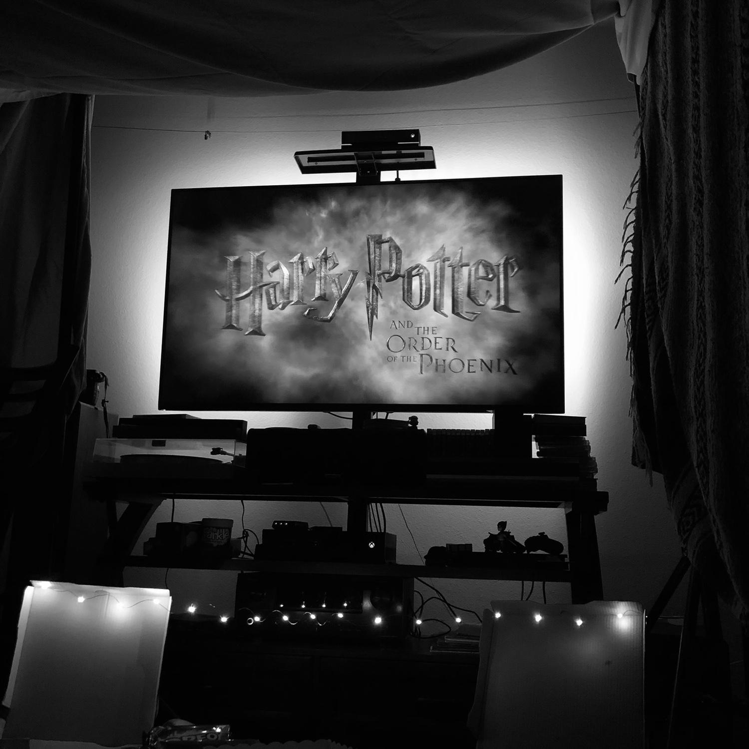 One of our first dates. We built a fort and had a Harry Potter marathon. 🤍