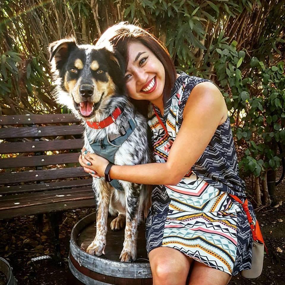 darwin doesn't mind getting hugs (Napa Valley, CA)