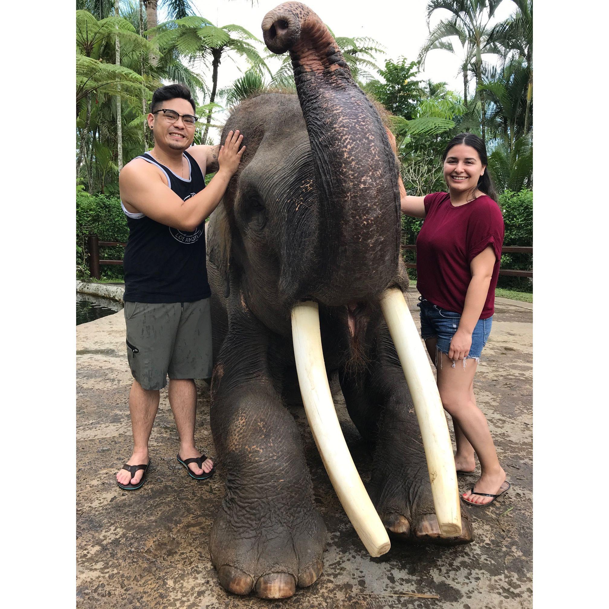 Bali 2018 with Luchip, the Elephant