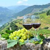 Douro Valley