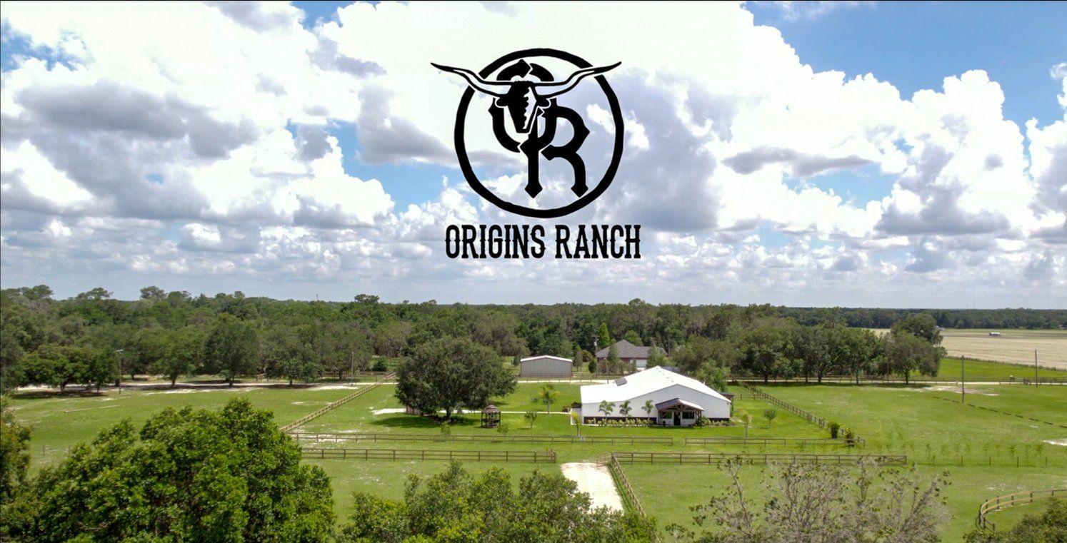 The Wedding Website of Emerlee Trevino and Zachary Warren