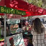 Port Royal Farmers' Market