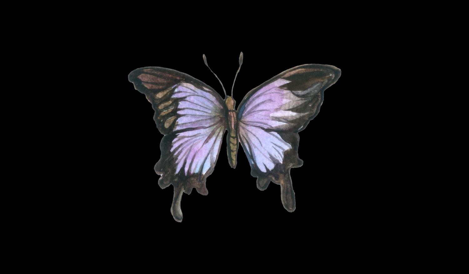 Footer image