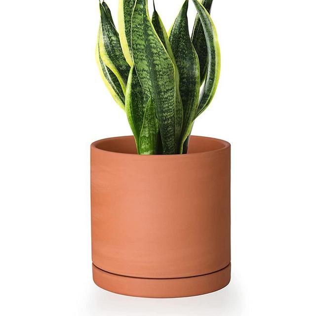 Small 6 Inch Terracotta Plant Pot with Drainage Hole and Saucer, Round Cylinder Planter Pot for Indoor Plants, 40-B-S-1