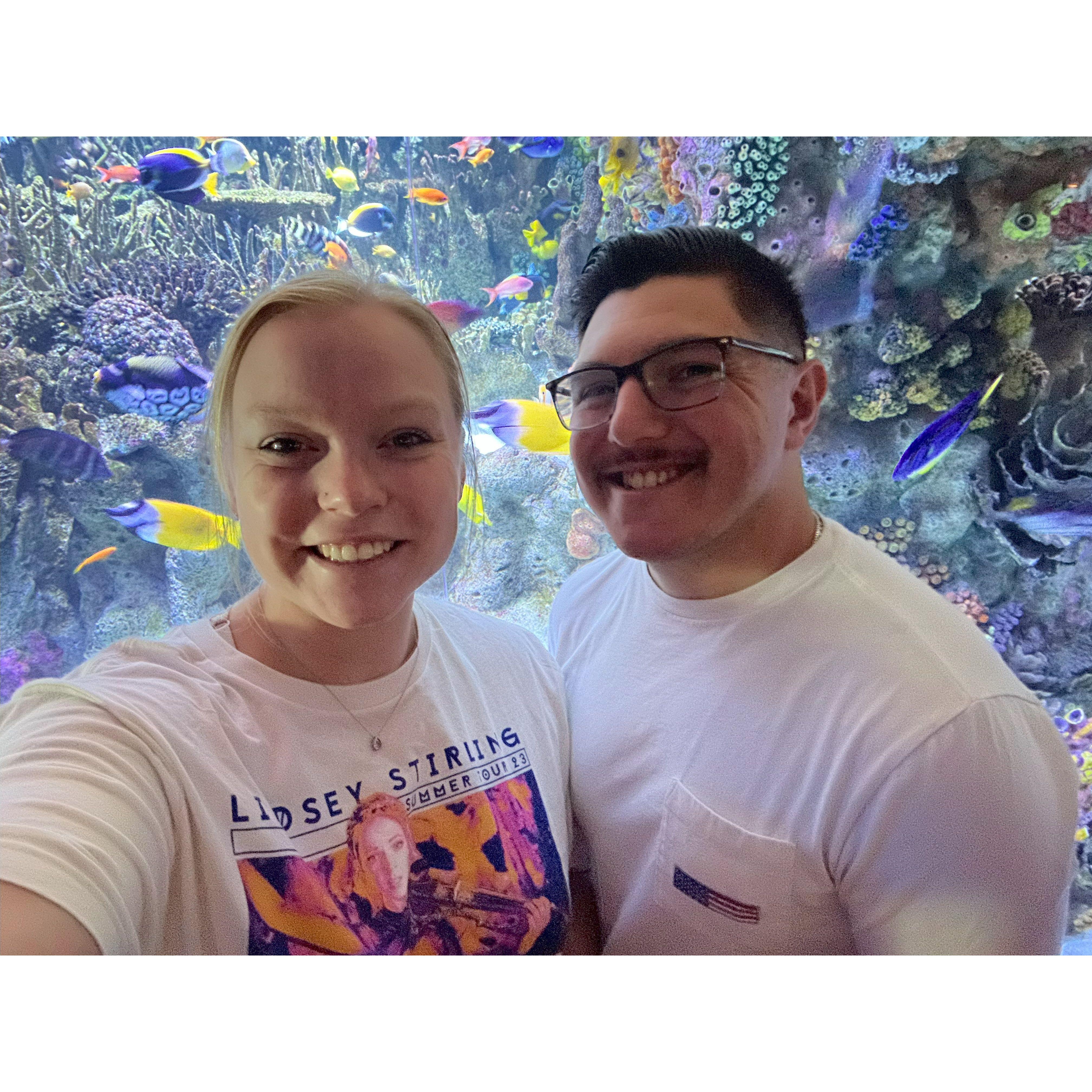 New England Aquarium date