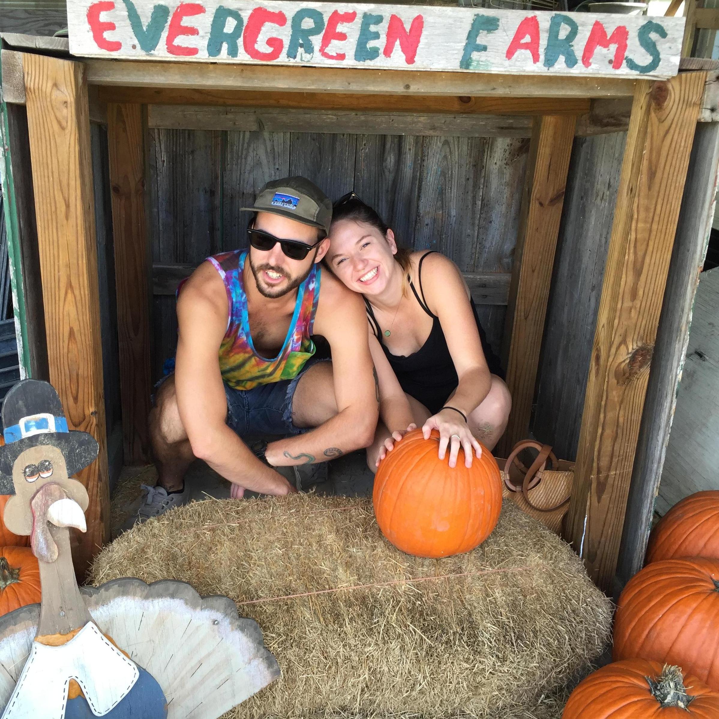 Pumpkin patch