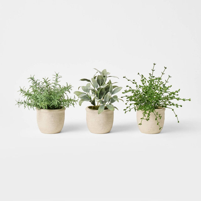 Set of 3 Mini Potted Herbs - Threshold™ designed with Studio McGee