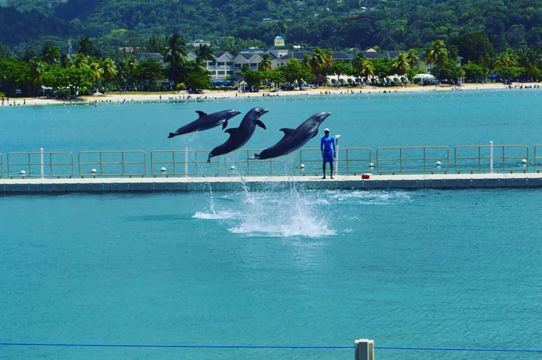 The Wedding Website of Ellie Holmes and Kutter Higley