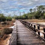 Skidaway Island State Park