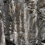 Windley Key Fossil Reef Geological State Park