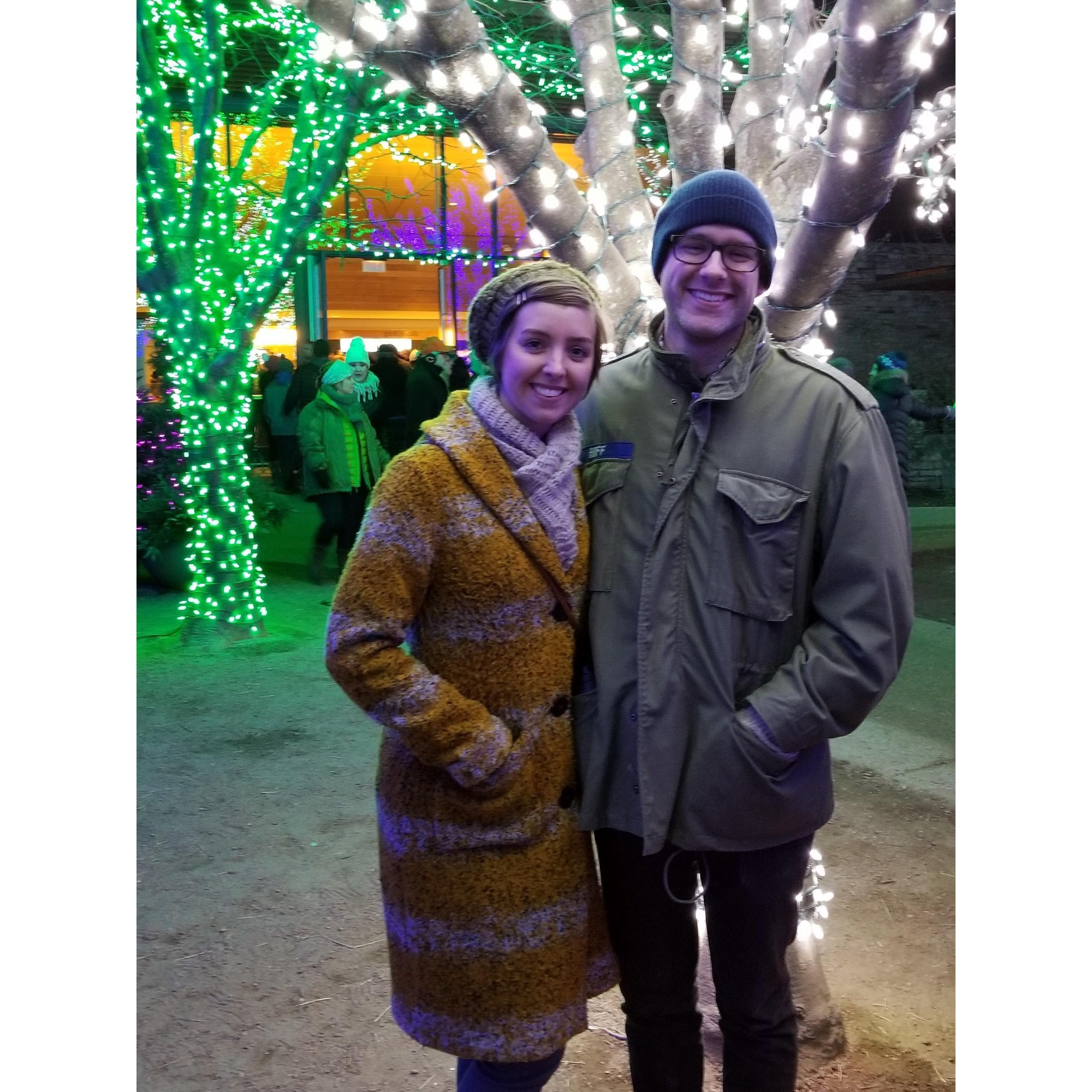 Illuminations at Morton Arboretum 12.2017