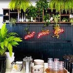 Bodega North Beach