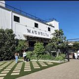 Magnolia Market