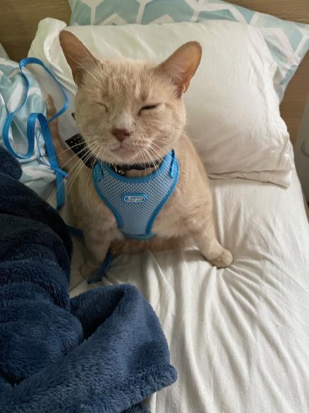 0591d770-3645-44dc-987e-6d10dd4d12c1