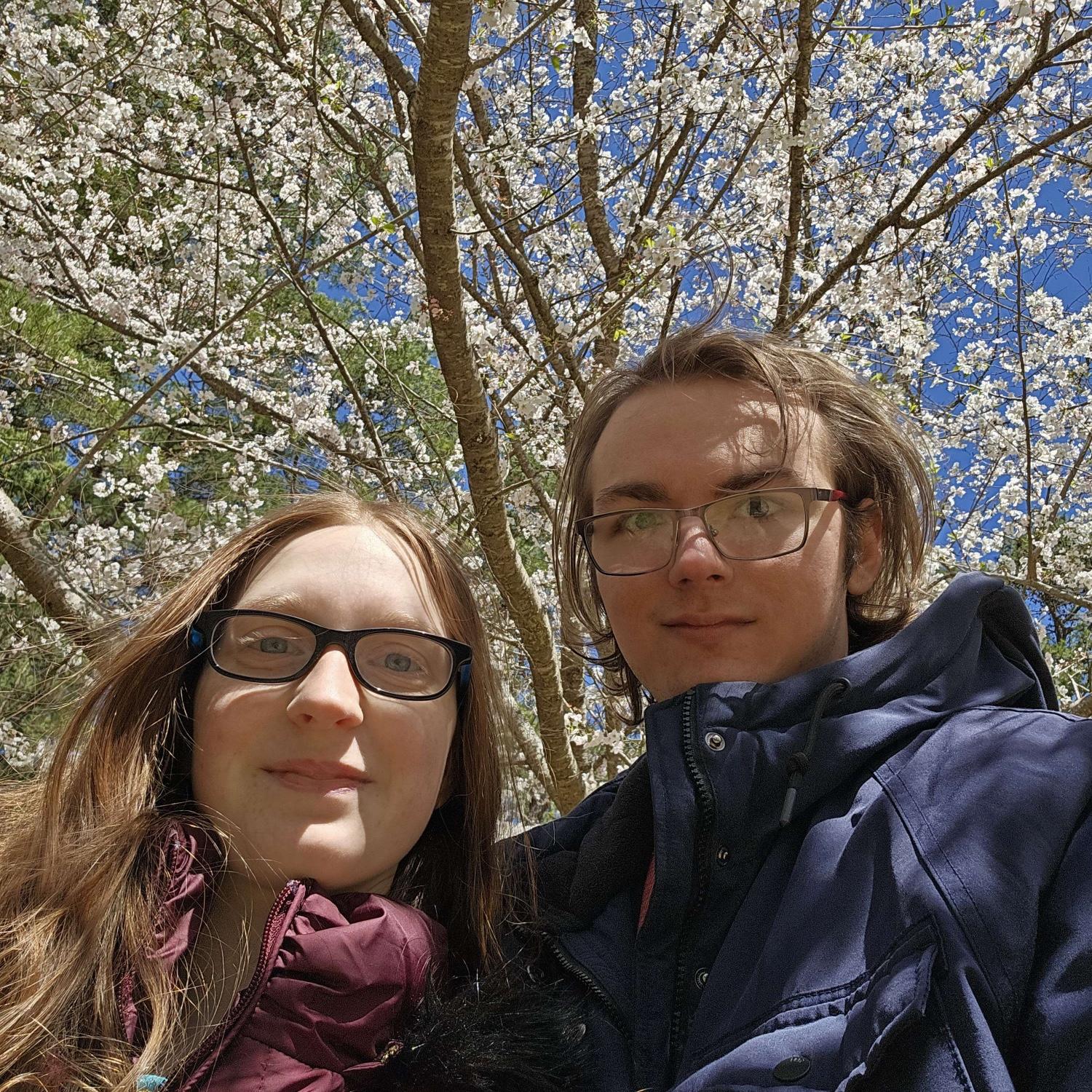 First time seeing the cherry blossoms at Garvan Woodland Gardens.