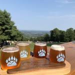 Bear Chase Brewing Company