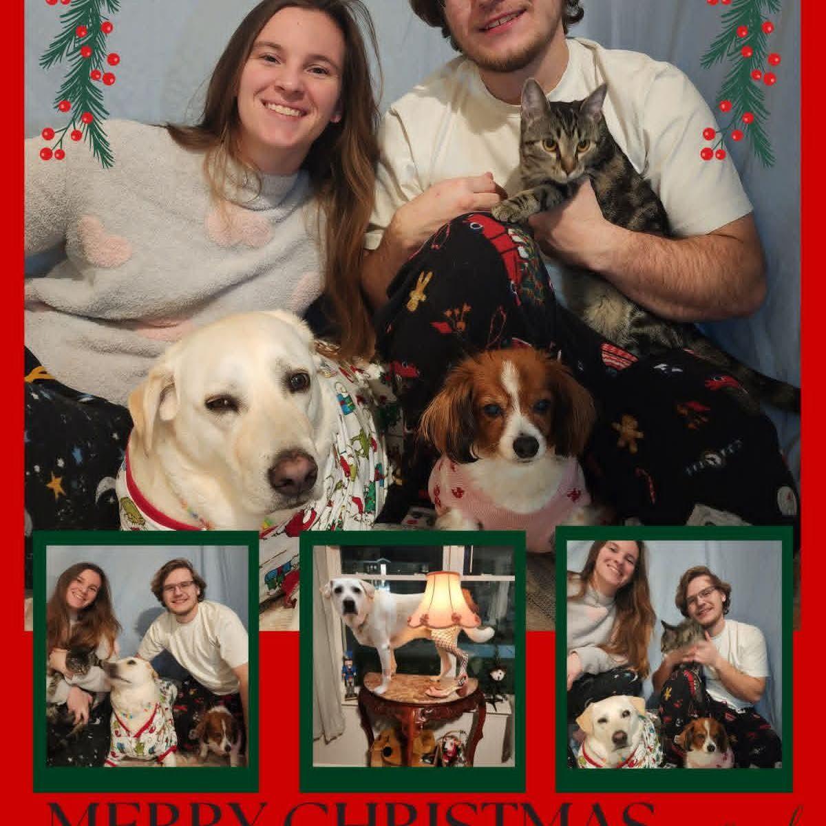 Our Christmas card with the animals!