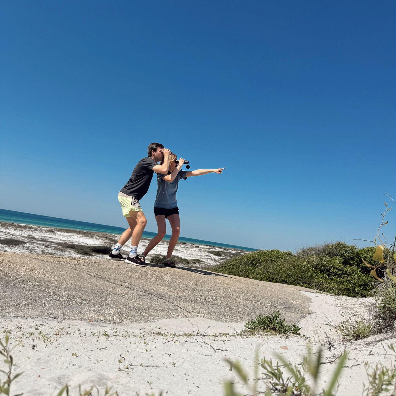 Gulf Island National Seashore- got a couple of lifers here