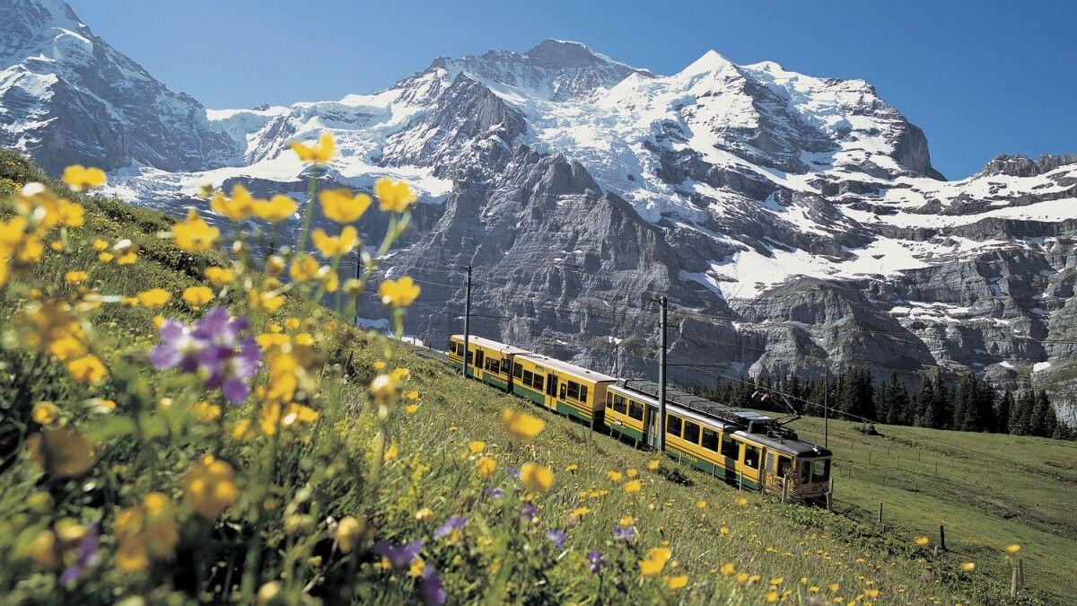 The Wedding Website of Anna Horton and Spencer Holm