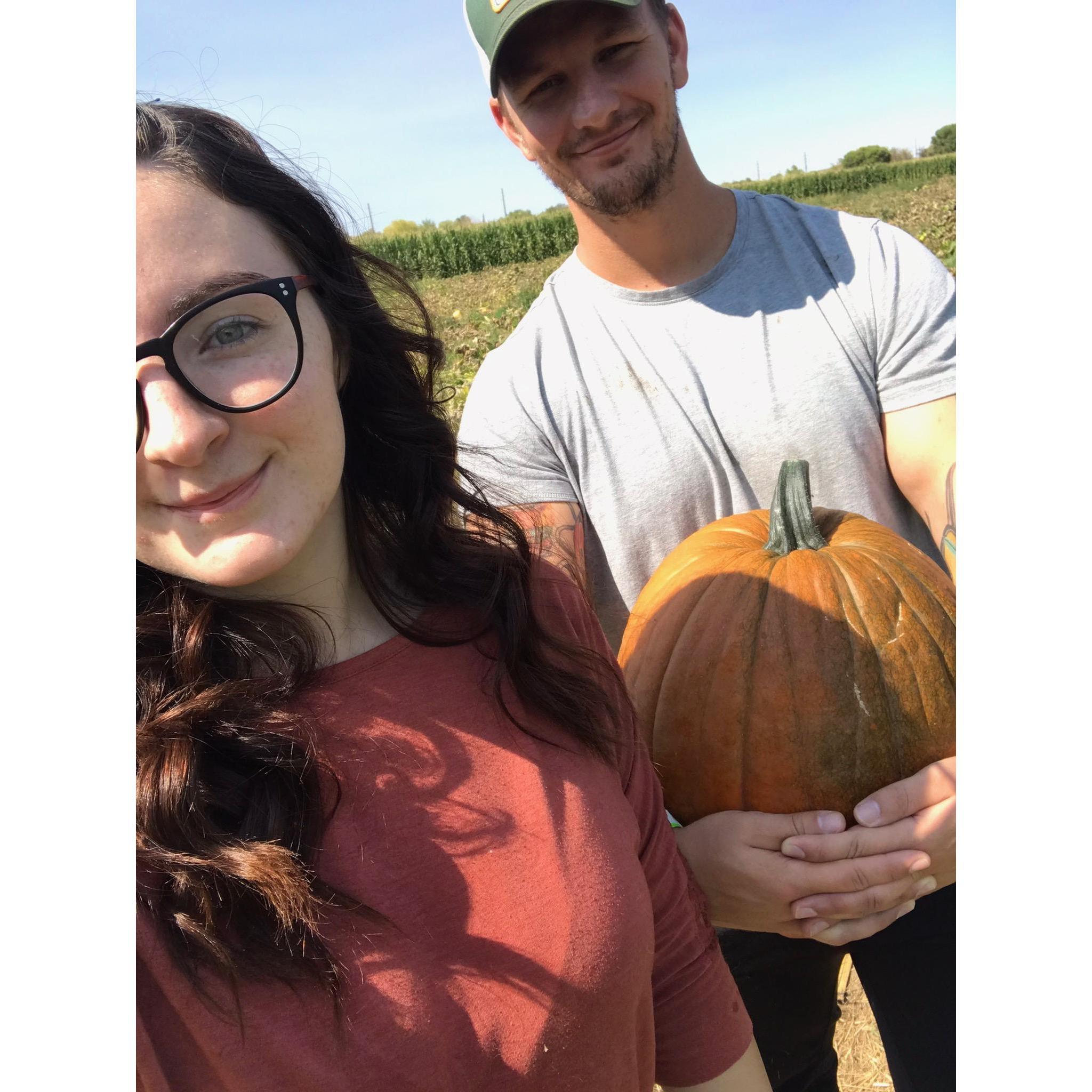 Annual Pumpkin Picking!