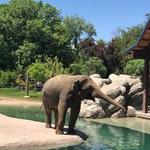 Denver Zoo