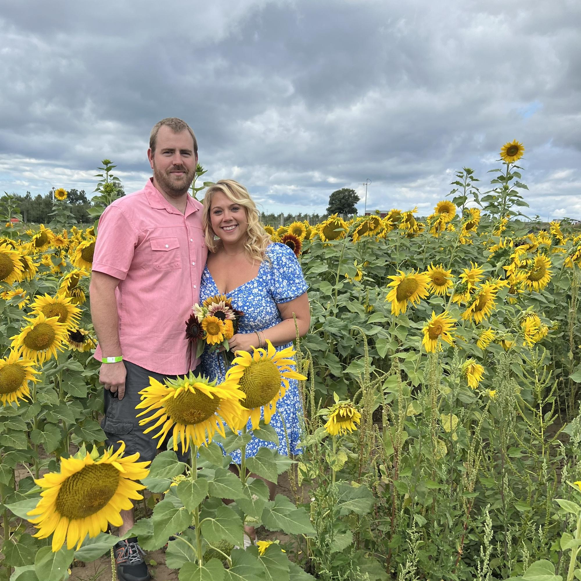 Sunflower fields at Fair Oaks 🌻
