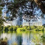 Lady Bird Lake