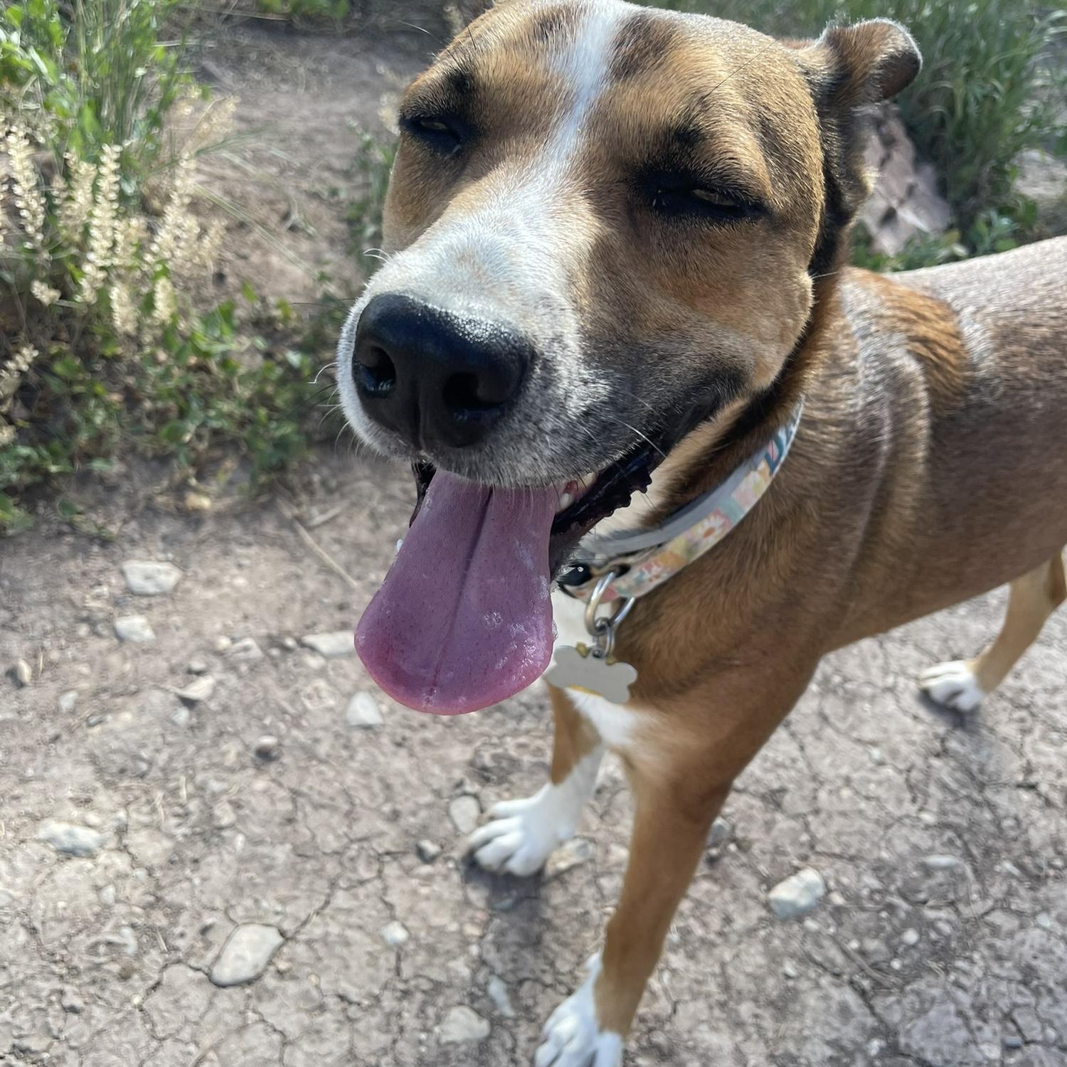 Everyone’s favorite girl - Daisy!