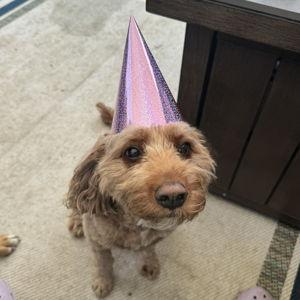 Remi's Registry