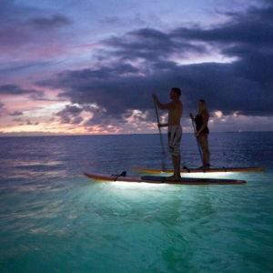 Honeymoon Excursion - Paddle Boarding